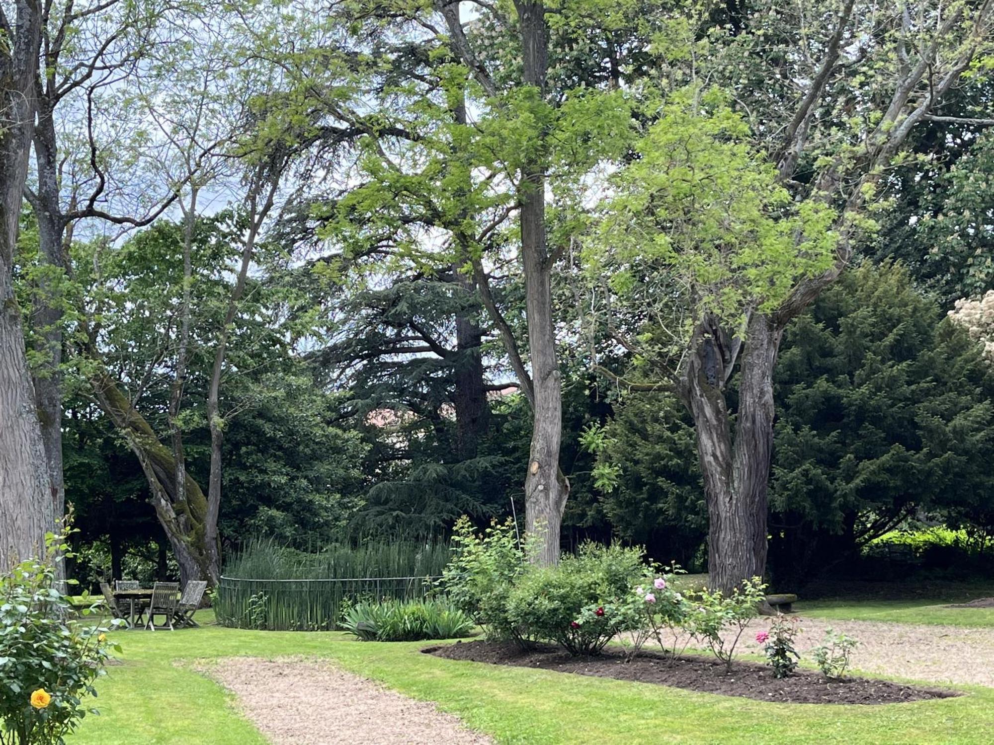 Domaine De Bellescize Hotel Chasselay Bagian luar foto